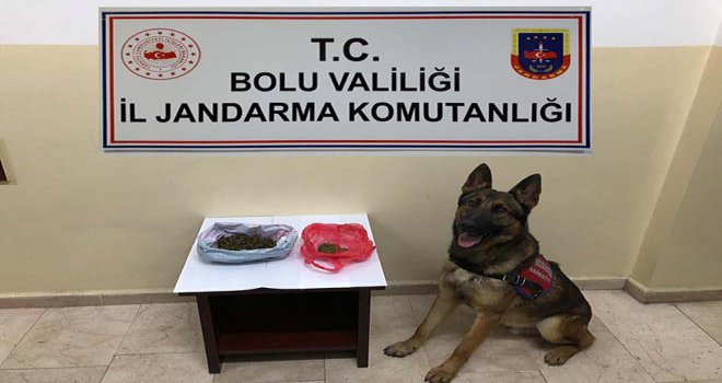 Kaçak sigara ve uyuşturucu operasyonu: 4 gözaltı