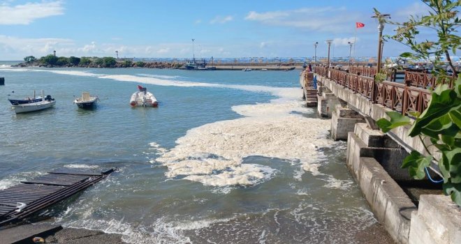 Karadeniz’deki kirliliğin müsilaj değil, alglerden kaynaklandığı ortaya çıktı
