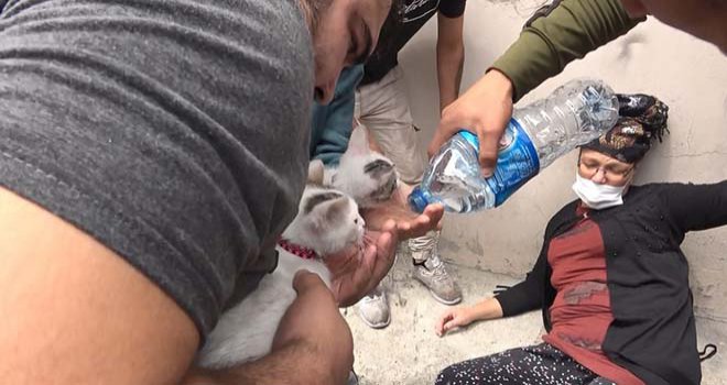 Kundaklandığı iddia edilen evdeki yavru kediler son anda kurtarıldı