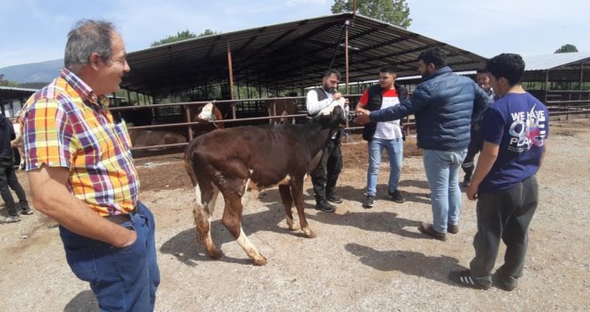 Kurban pazarında son yılların en durgun günleri yaşanıyor