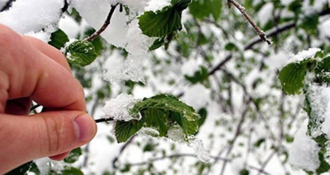 Meteoroloji Bolu için ‘zirai don’ uyarısı yaptı....