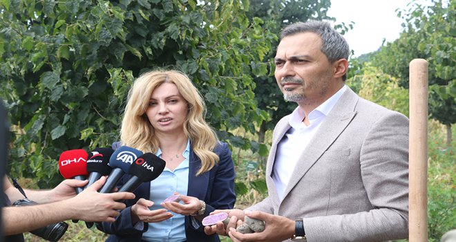 Mor patates, basın mensupları ile birlikte ilk kez topraktan çıkarıldı