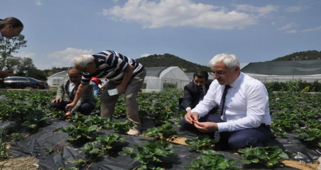 Mudurnu’da istihdam için 'Hünerli Eller Projesi’