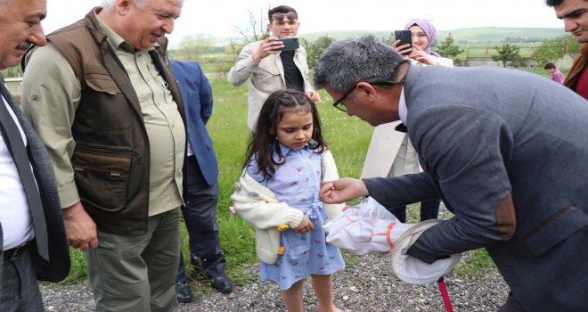 Öğrenciler hiç görmedikleri böcekleri aparatlarla topladı