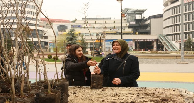 ORMAN HAFTASI DOLAYISIYLA 4 BİN ADET FİDAN ÜCRETSİZ DAĞITILDI