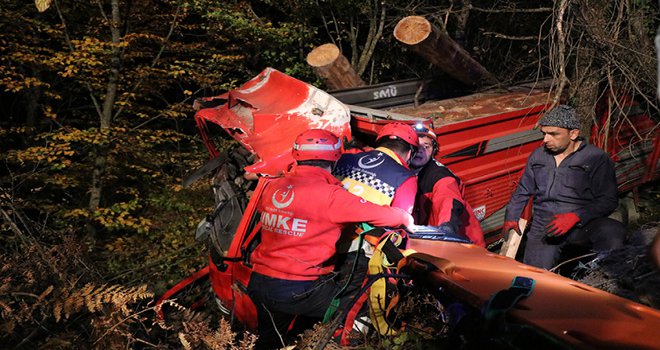 Ormana uçan kamyonu sabit tutmak için ağaca zincirlediler