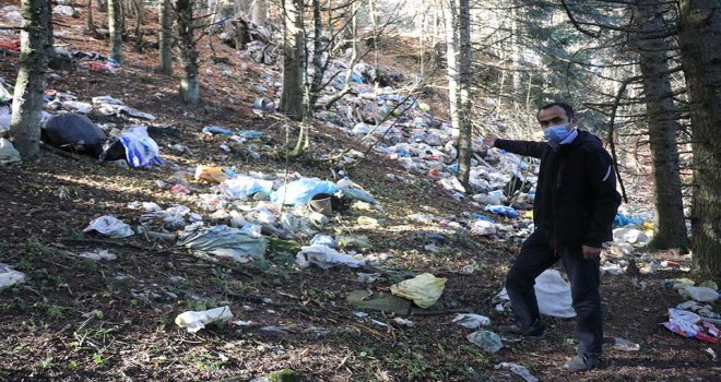 Piknikçilerin geride bıraktıkları ormanları çöplüğe çevirdi