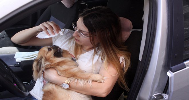 Sahibi tarafından arabada bırakılan Şanslı isimli köpek, duyarlı vatandaşlar sayesinde kurtuldu