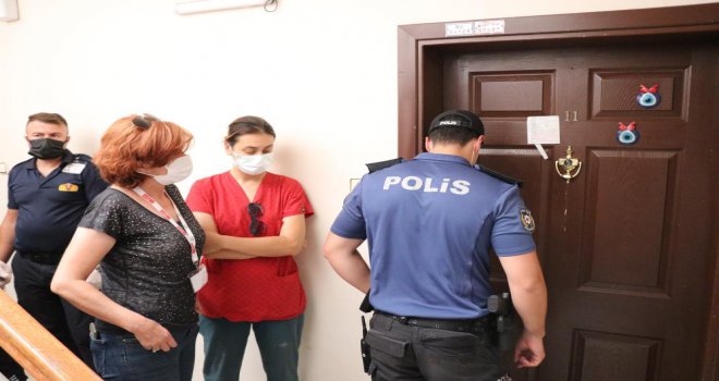 Savcılık izniyle girilen evden 50 kedi çıkarıldı