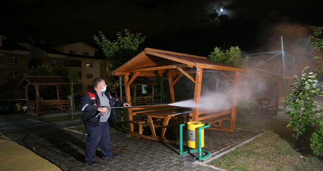 Şehirdeki tüm parklar düzenli olarak temizleniyor