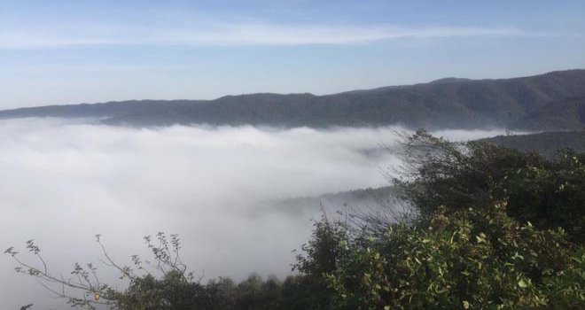 Sis çöken Bolu Dağında kartpostallık görüntüler oluştu