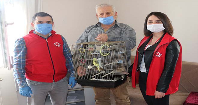 Sokağa çıkma yasağı olan yaşlı adam yalnızlığını muhabbet kuşlarıyla giderecek