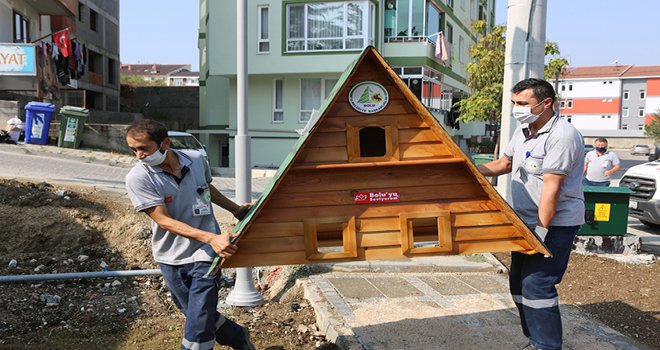 Sokak hayvanları Bolu Belediyesi’ne emanet