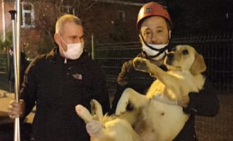 10 gündür aç ve susuz balkonda mahsur kalan köpek kurtarıldı