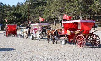 Abant Tabiat Parkı’na gelen tatilcilerde ruam hastalığı endişesi