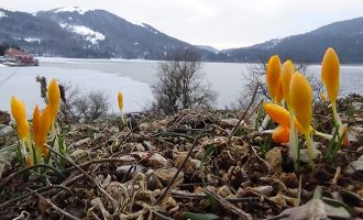 Abant Tabiat Parkı’nda renk cümbüşü yaşanıyor