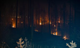 Ankara ve  Kıbrıscık'tan gelen ekipler, yangını söndürebilmek için tek yürek oldu