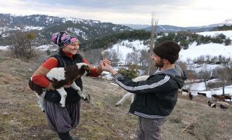 Baharın gelişini çocukları gibi sevdikleri koyunlarıyla karşıladılar