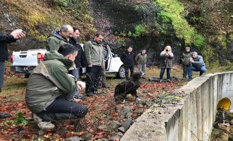 Bakan Pakdemirli kara akbabayı Gölcük’te doğaya saldı
