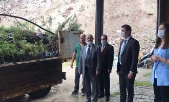 BOLU BELEDİYESİNDEN GÖYNÜK’E SÜS BİTKİSİ DESTEĞİ