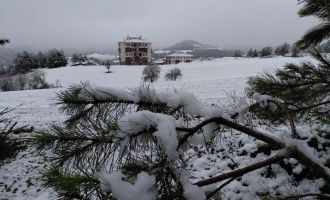 Bolu martta yağan karla beyaza büründü