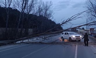 Bolu-Mudurnu yolunda devrilen ağaç yolu trafiğe kapattı