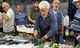 Bolu’da balık tezgahlarında palamut bereketi yüz güldürüyor