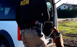 Bolu'da bir haftada düzenlenen operasyonlarda 176 kişi gözaltına alındı