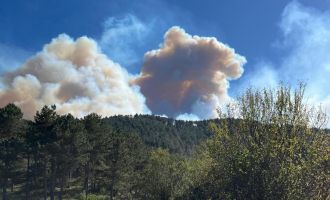 Bolu'da çıkan orman yangını 2 saattir söndürülemiyor, 2 köy tahliye edildi