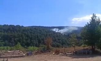 Bolu'da çıkan orman yangını kısa sürede söndürüldü.....