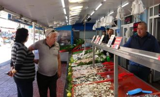 Bolu’da hamsinin fiyatı 40 lira birden düştü