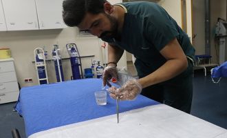 Bolu’da, ilk 5 ay içinde 281 kene tutulması yaşandı