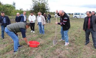 Bolu'da kaliteli toprak için ekipler harekete geçti