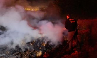 Bolu'da korkutan anız yangını: Ormana sıçramadan söndürüldü