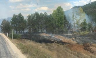 Bolu'da orman yangını çıktı.......