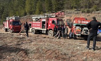 Bolu'da ormanlık alanda örtü yangını çıktı: 1 dönüm zarar gördü