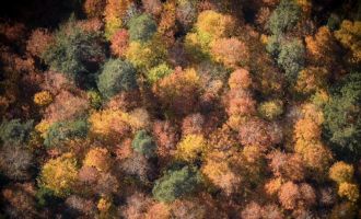 Bolu'da ormanlık alanlarda sonbahar güzelliği…....