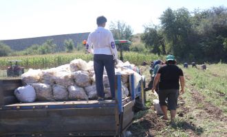 Bolu’da patates hasadı başladı…