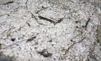 Bolu'da sabaha karşı yağan dolu yeşil alanları beyaza bürüdü