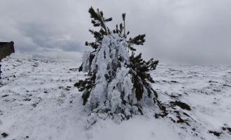Bolu'da soğuk hava ağaçları dondurdu….......