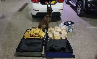 Bolu'da TEM'de durdurulan otomobilin bagajında 61 kilo eroin yakalandı