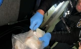 Bolu'da uyuşturucu operasyonu…….