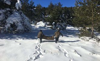 Bolu’da yaban hayvanları için yem bırakıldı