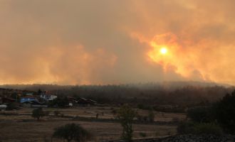 Bolu’da yangında zarar gören 40 hektarlık alan ağaçlandırılacak
