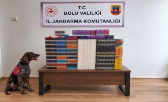 Bolu'da yolcu otobüslerinde kaçak tütün operasyonu: Piyasa değeri 760 bin TL