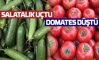 Bolu’nun zam şampiyonu salatalık oldu