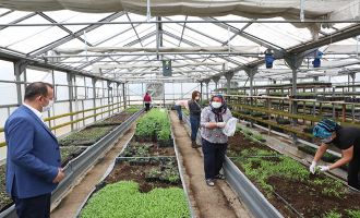 Don olayından zarar gören çiftçilerin yaraları sarılıyor