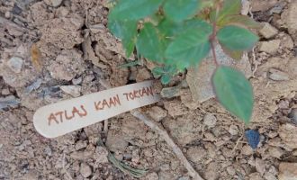 Gazipaşa'da, Bolu'daki otel yangınında ölen 36 çocuk anısına gül dikildi