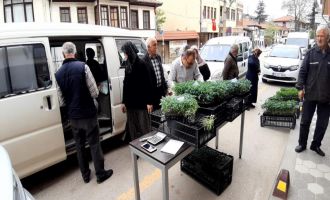 Havalar ısındı fidelerin ekim zamanı geldi..