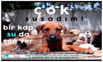 Hayvan Hakları Komisyonu’ndan anlamlı kampanya